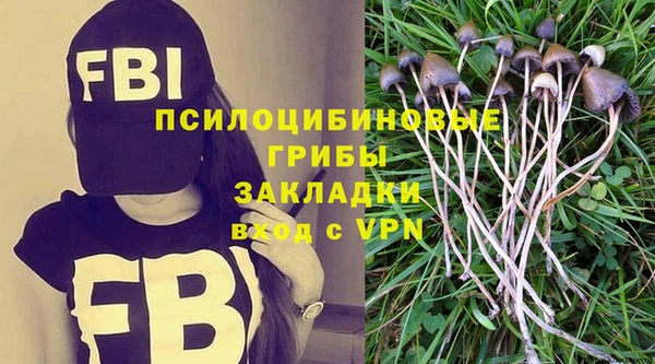 мескалин Кулебаки